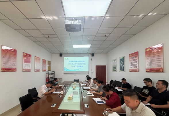 海南省供銷(xiāo)集團(tuán)召開(kāi)2025年上半年經(jīng)濟(jì)分析會(huì) 部署下半年重點(diǎn)工作